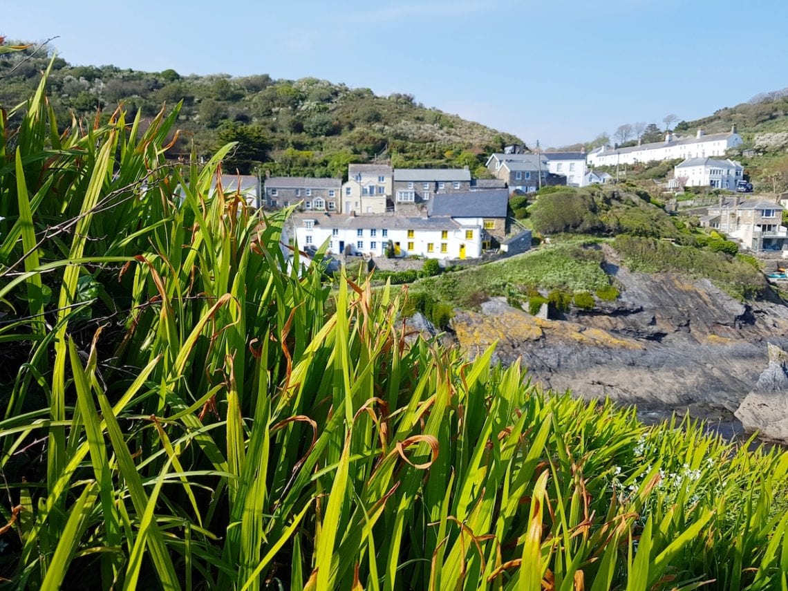 2017-04-18 09.19.36 1.jpg