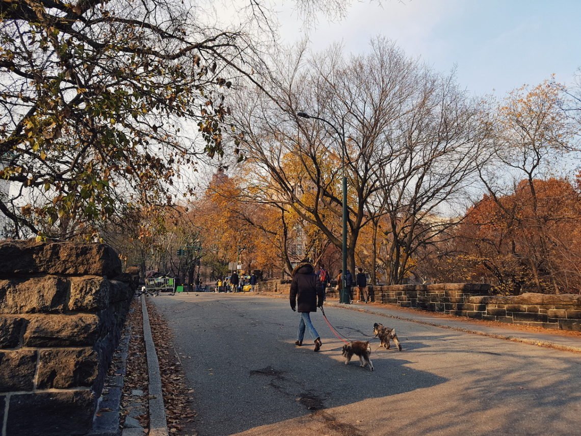 2017-12-04 07.30.55 1.jpg