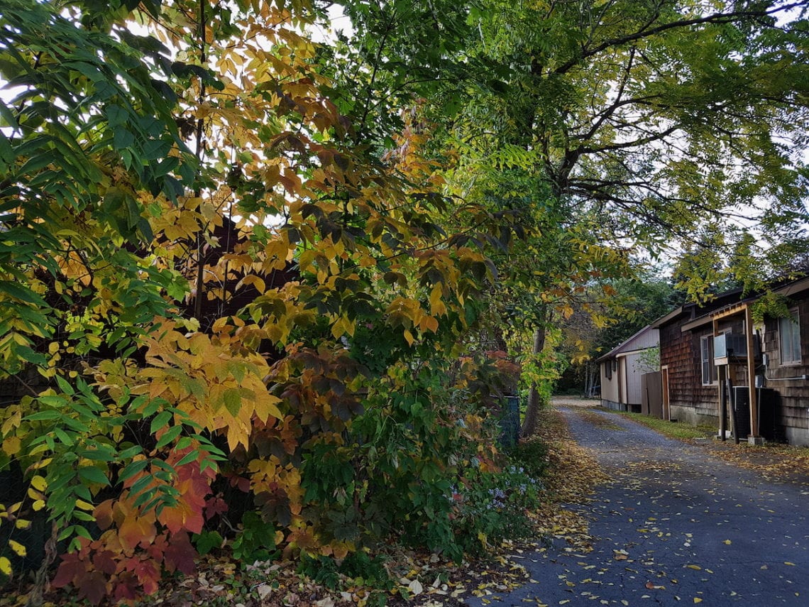 2017-10-19 09.04.35 1.jpg