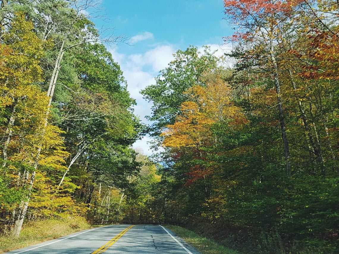 2017-10-18 08.12.54 1.jpg