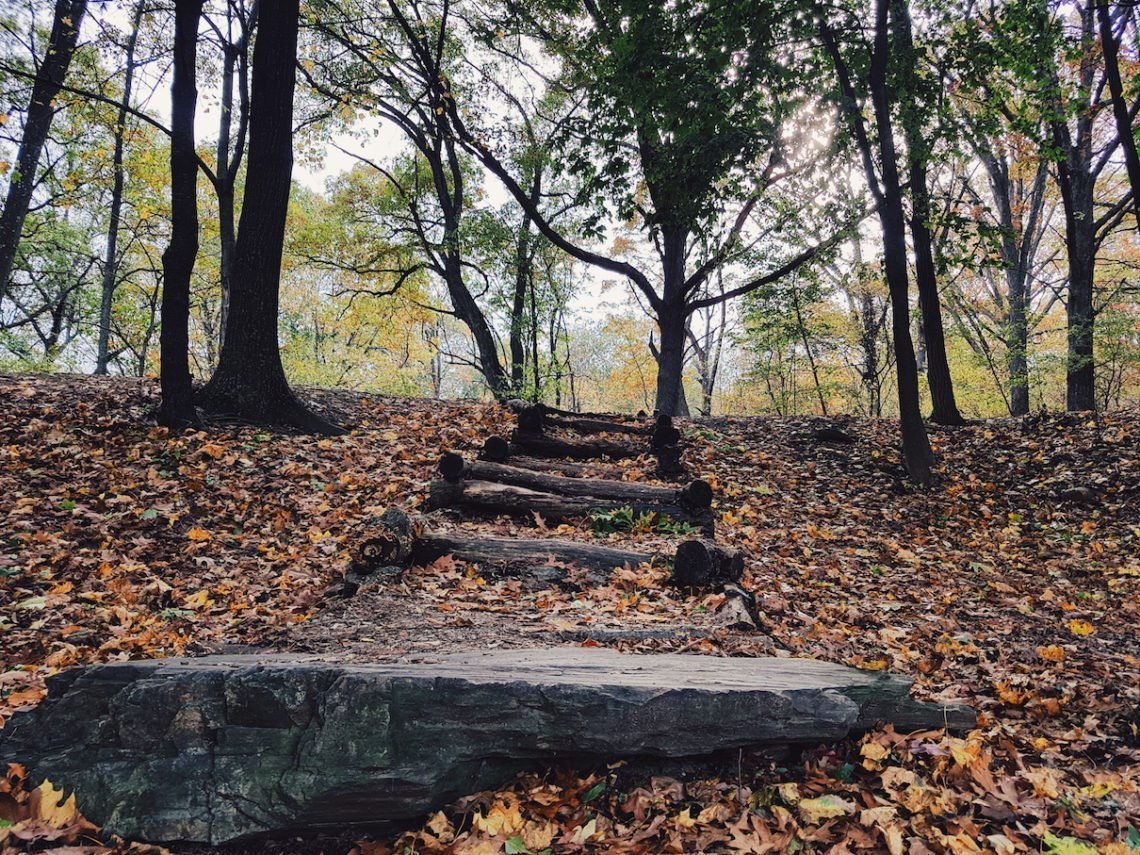 2017-11-01 04.27.28 1.jpg