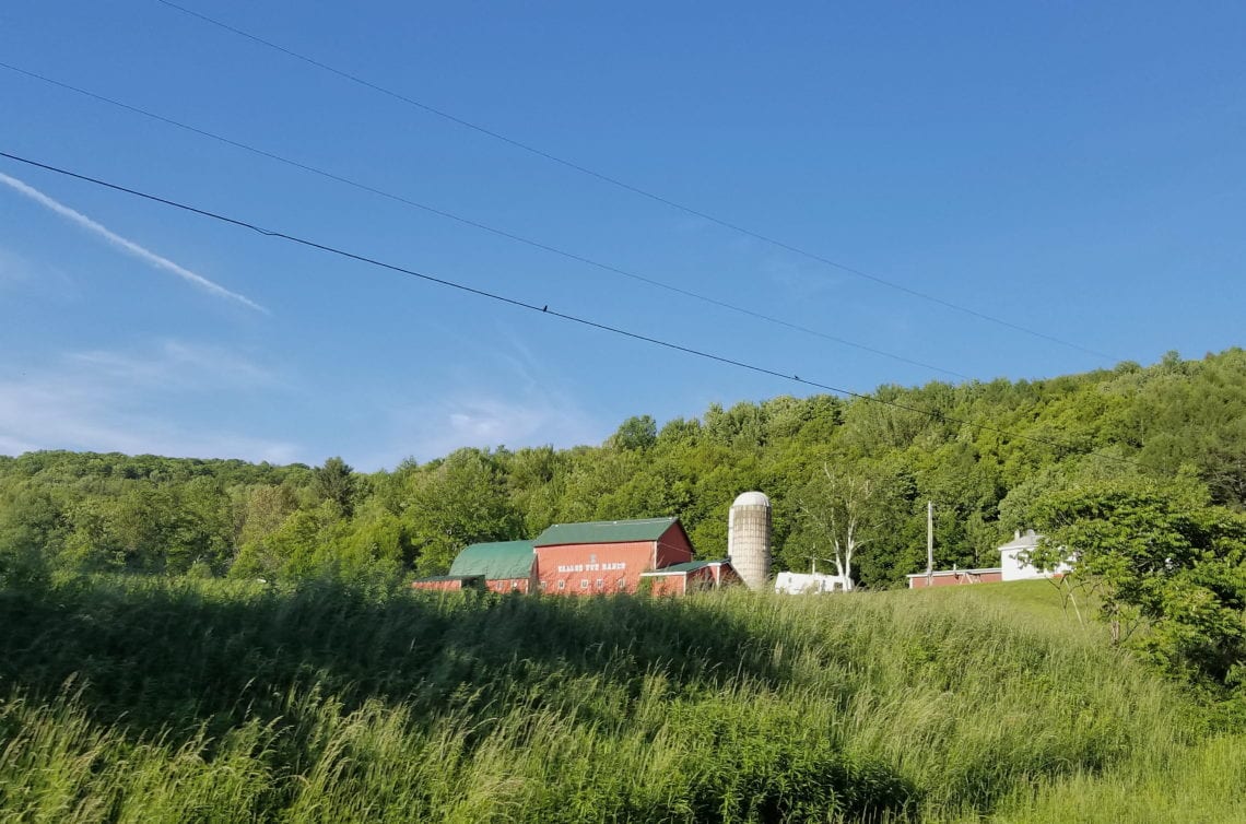 2018-06-17 11.35.34 1.jpg