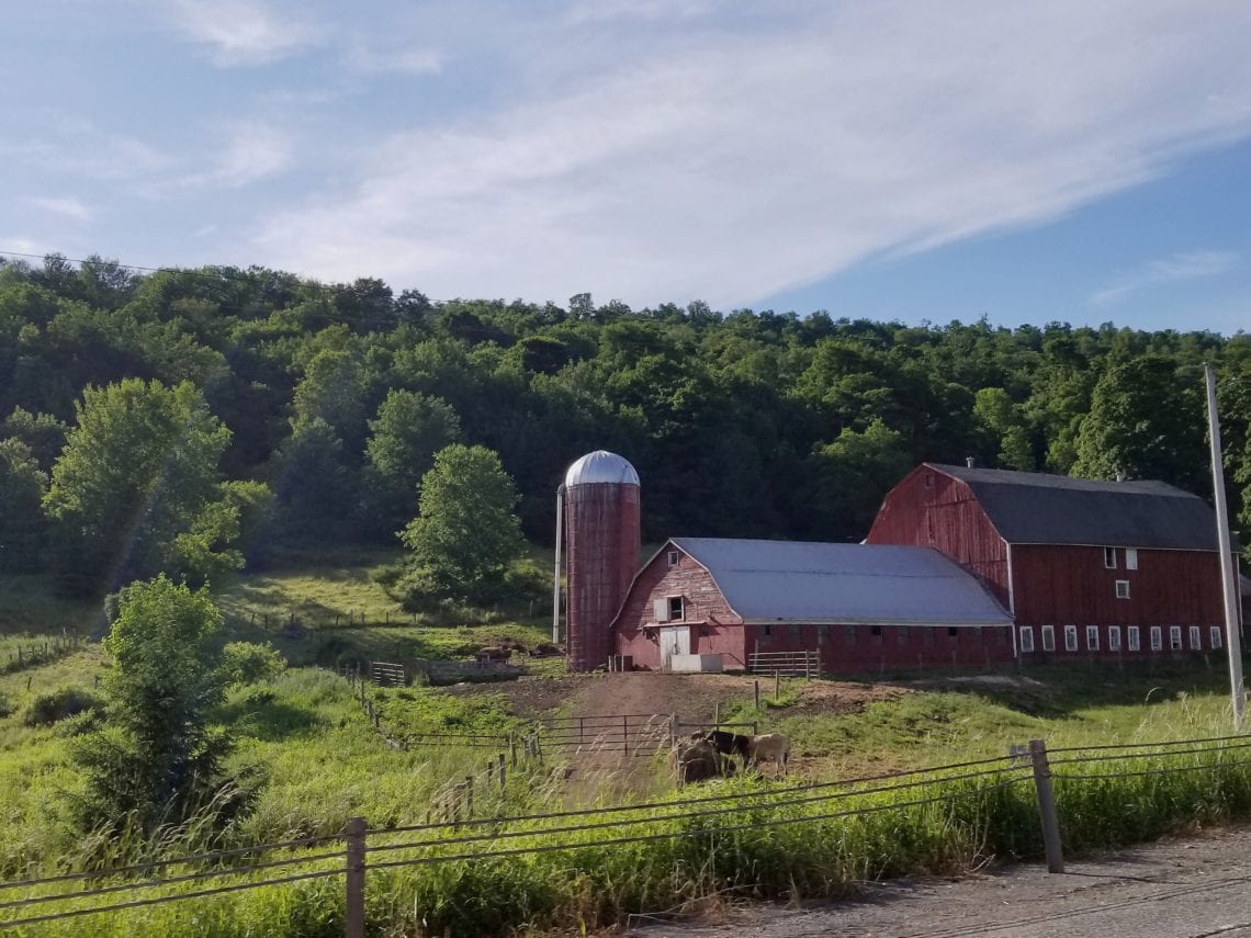 Processed with VSCO with  preset