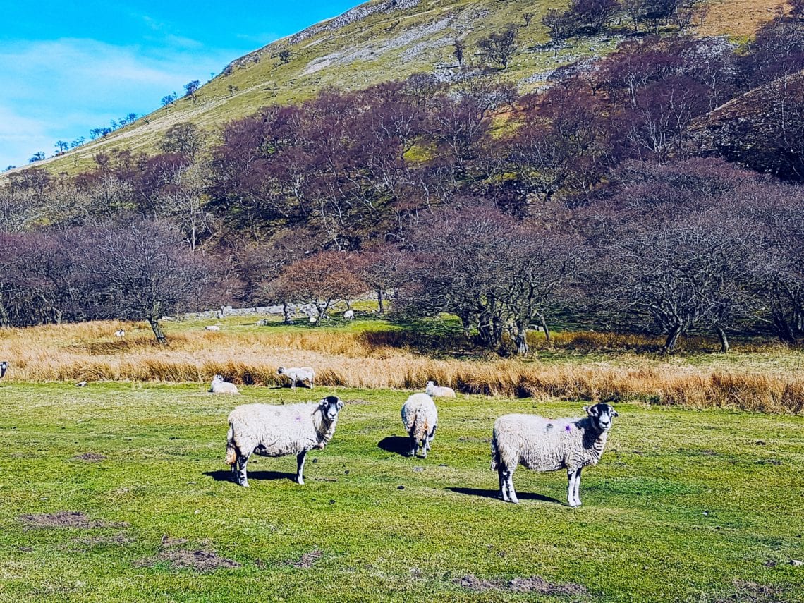 2017-03-26 11.03.21 1.jpg