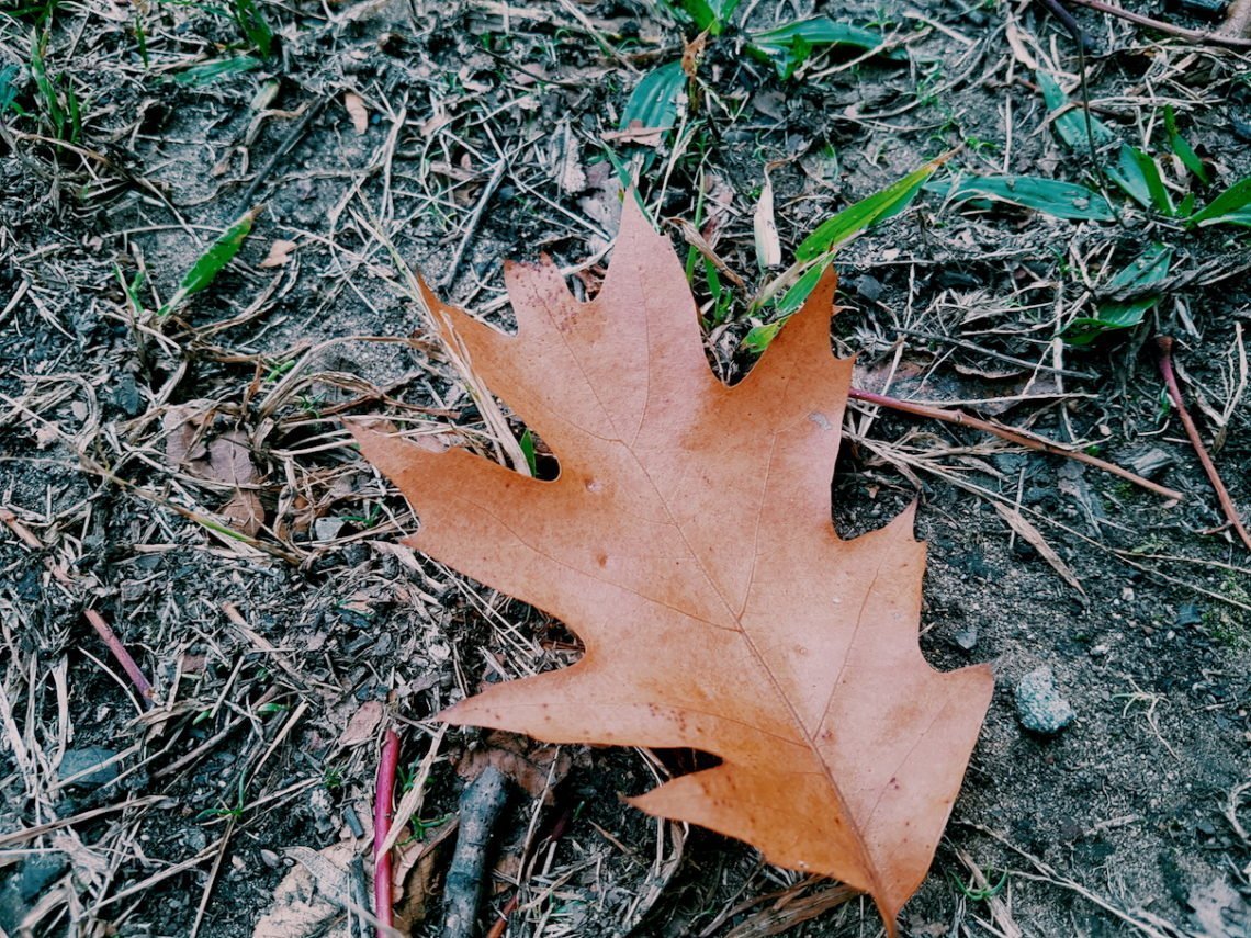 2017-10-25 06.20.45 1.jpg