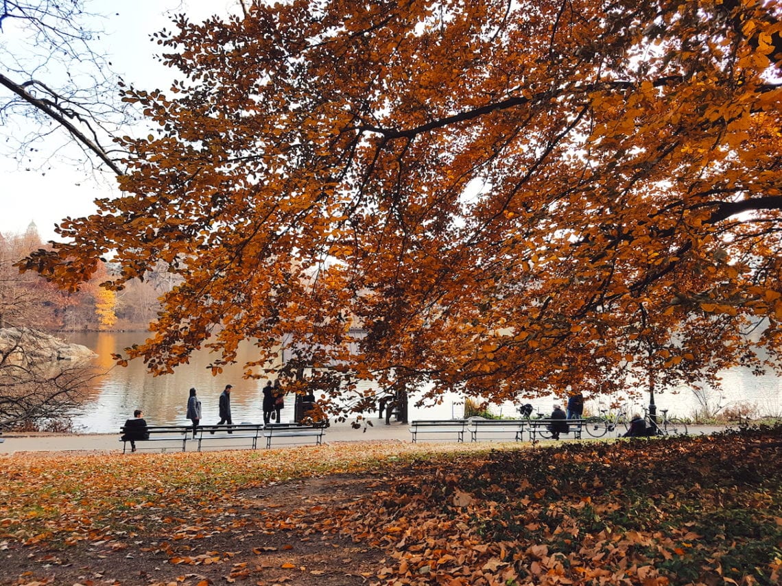 2017-12-04 07.32.25 1.jpg