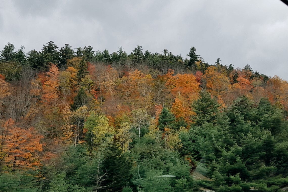 2017-10-20 09.09.21 1.jpg