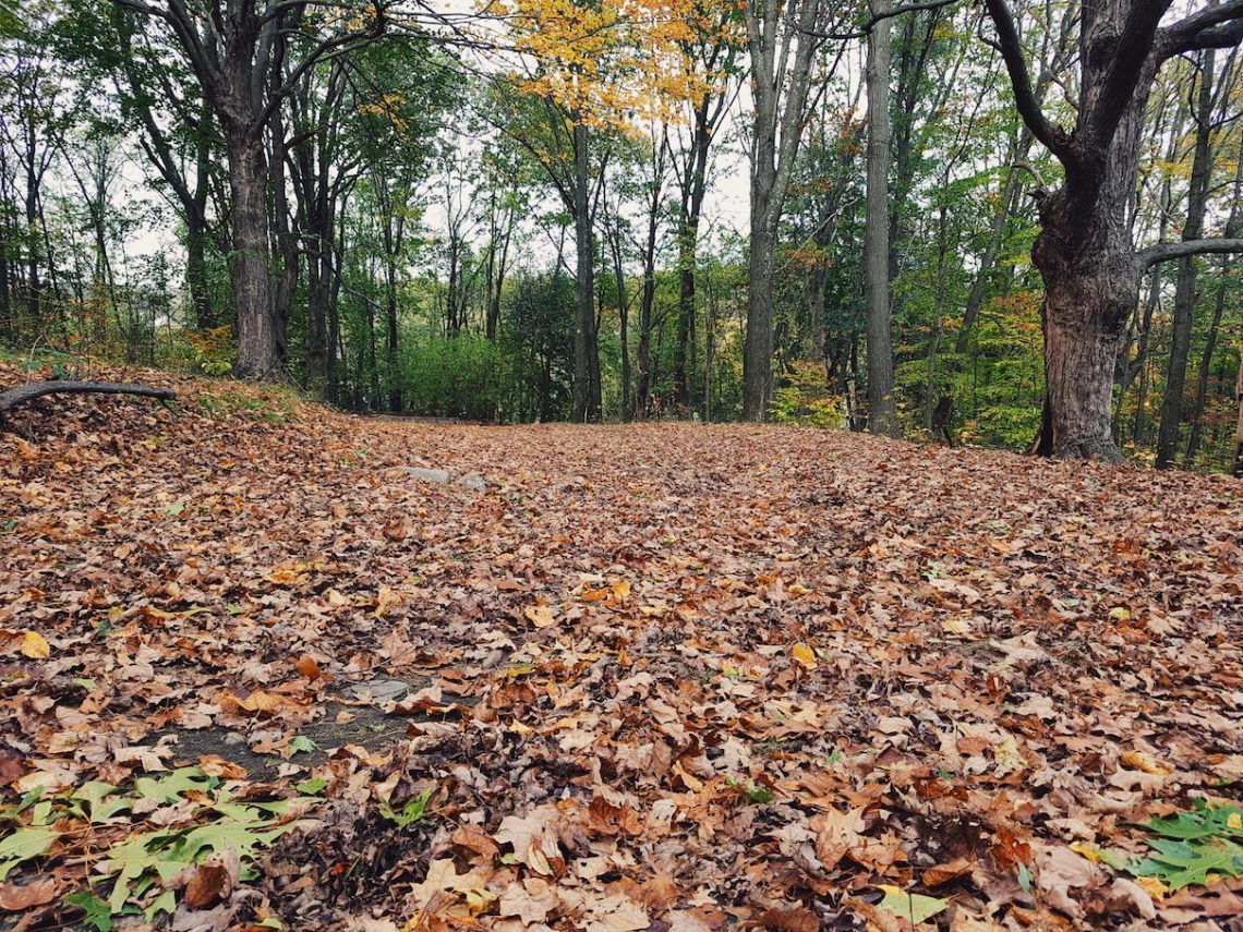 2017-11-01 04.27.26 1.jpg