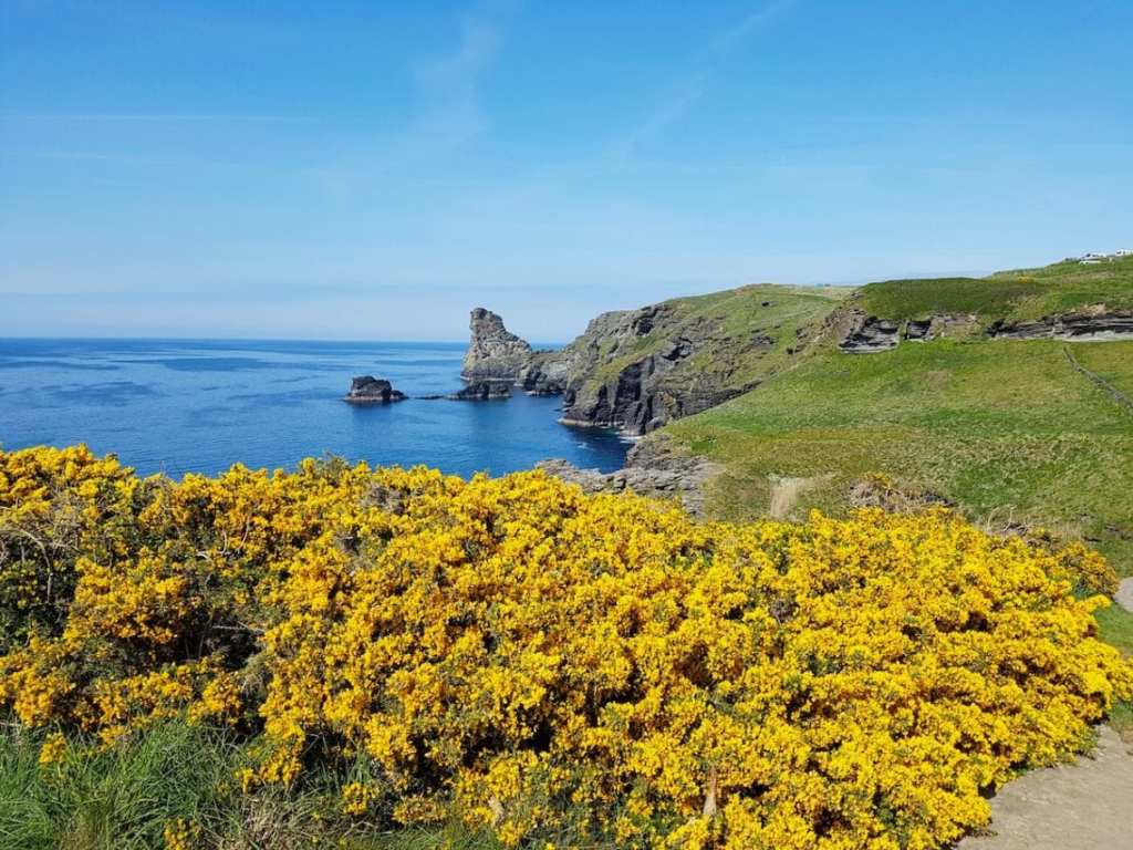 Elvis Legs: Boscastle to Tintagel