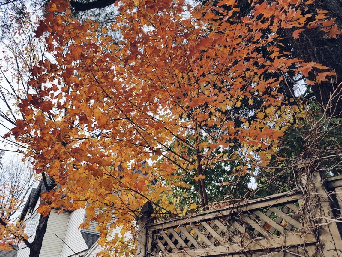 Processed with VSCO with a5 preset