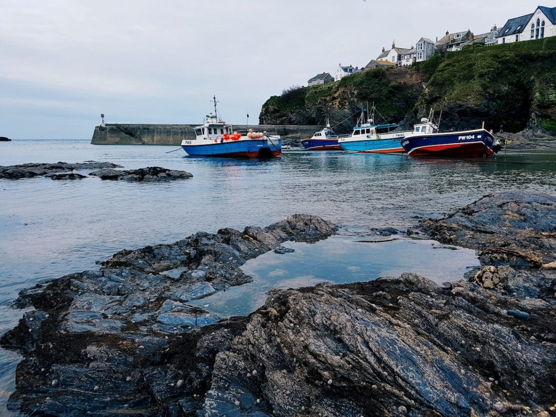 2017-04-16 05.56.02 1.jpg