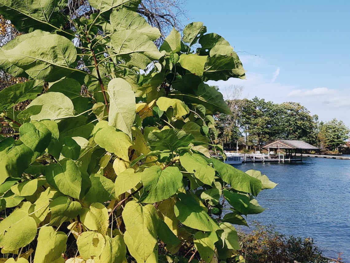 2017-10-16 09.14.57 1.jpg