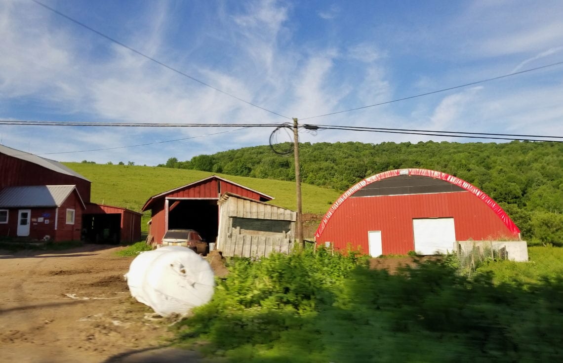 2018-06-22 08.52.53 1.jpg