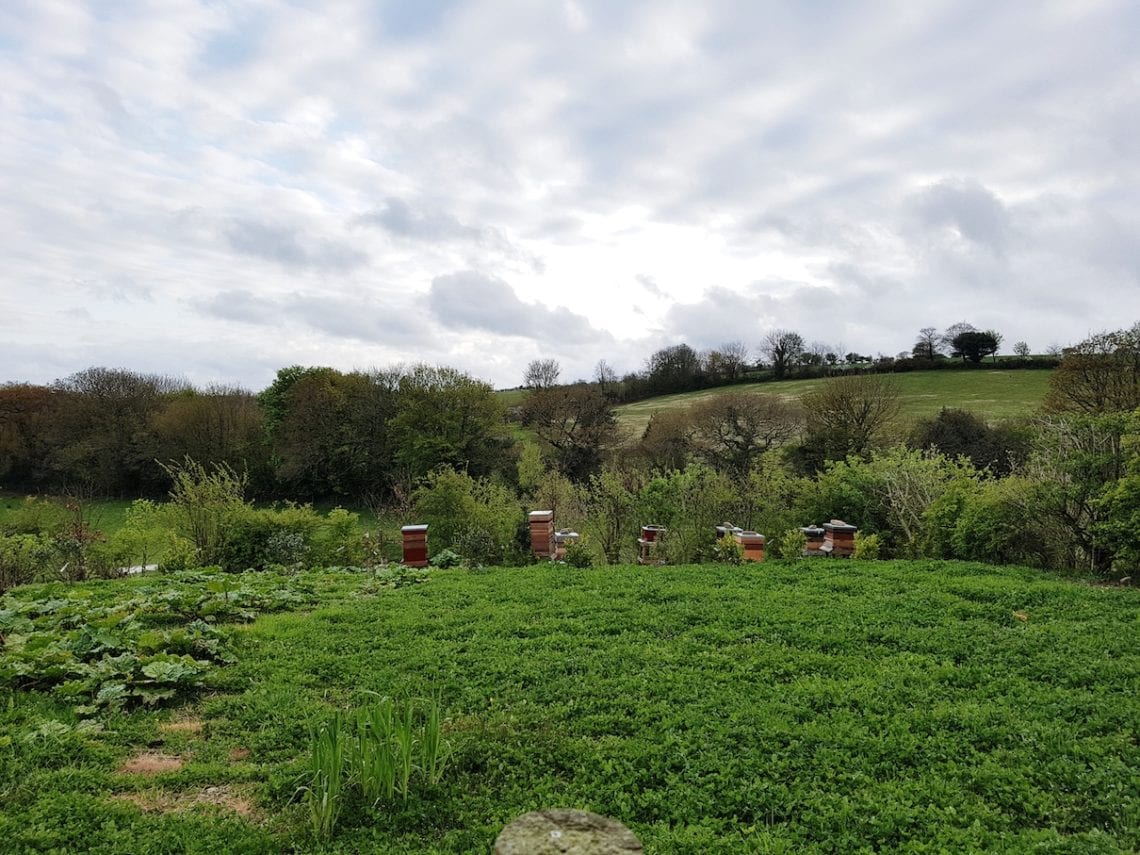 2017-04-16 09.25.21 1.jpg