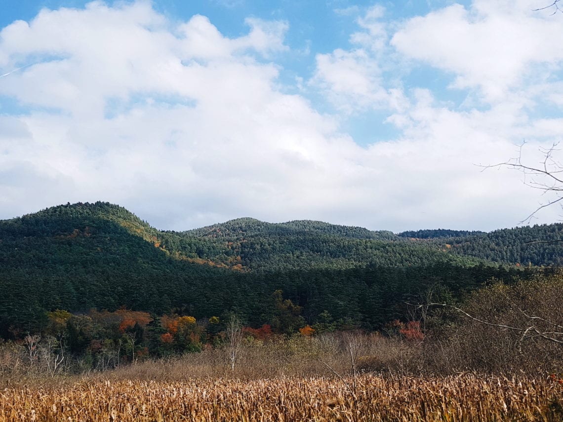 2017-10-18 08.13.07 1.jpg