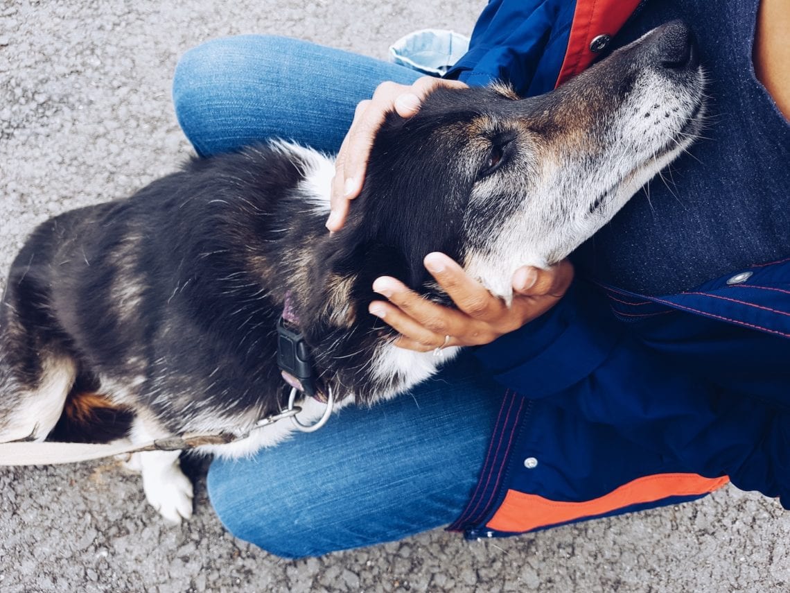 2017-04-26 10.35.46 1.jpg