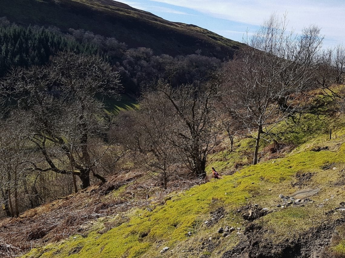 2017-03-26 07.26.32 1.jpg