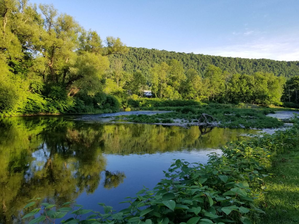 2018-06-17 11.25.56 1.jpg