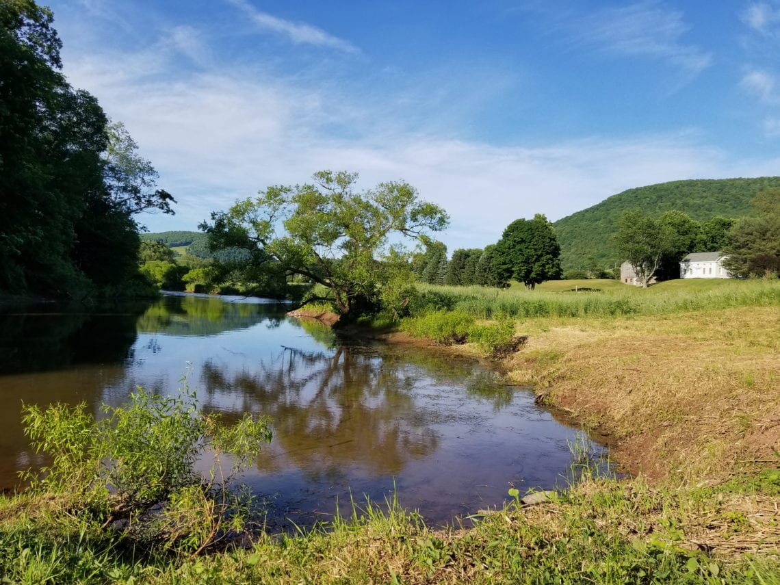 Processed with VSCO with  preset