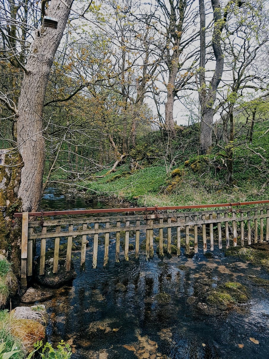 2017-05-01 06.45.38 1.jpg