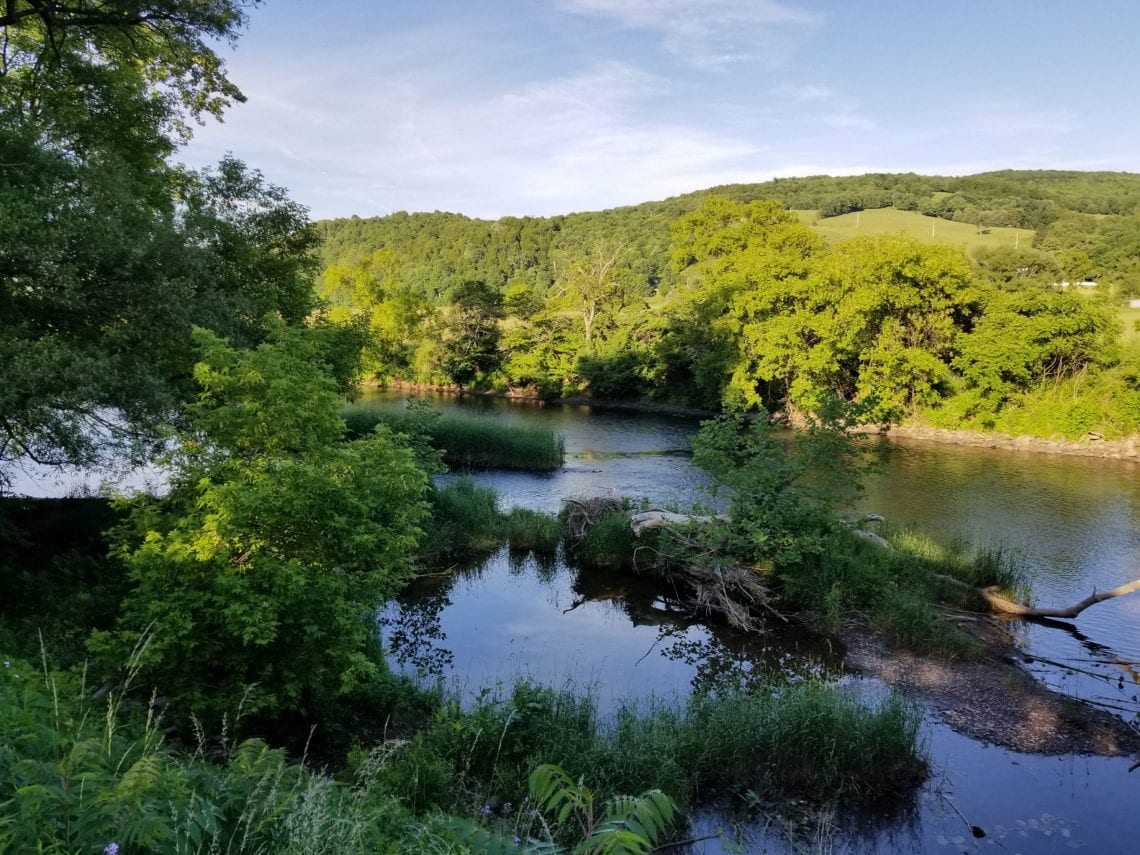 2018-06-17 11.37.21 1_1.jpg