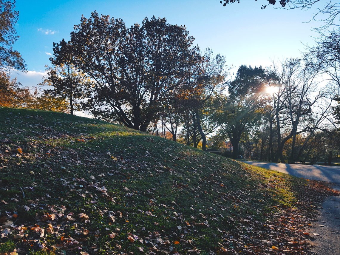 2017-11-16 05.23.37 1.jpg