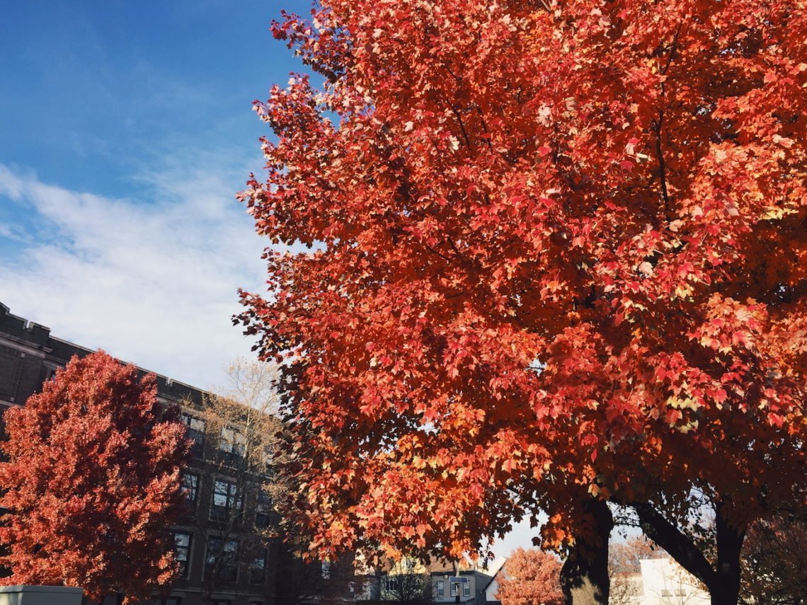 Nov 25, (10) 2017.jpg