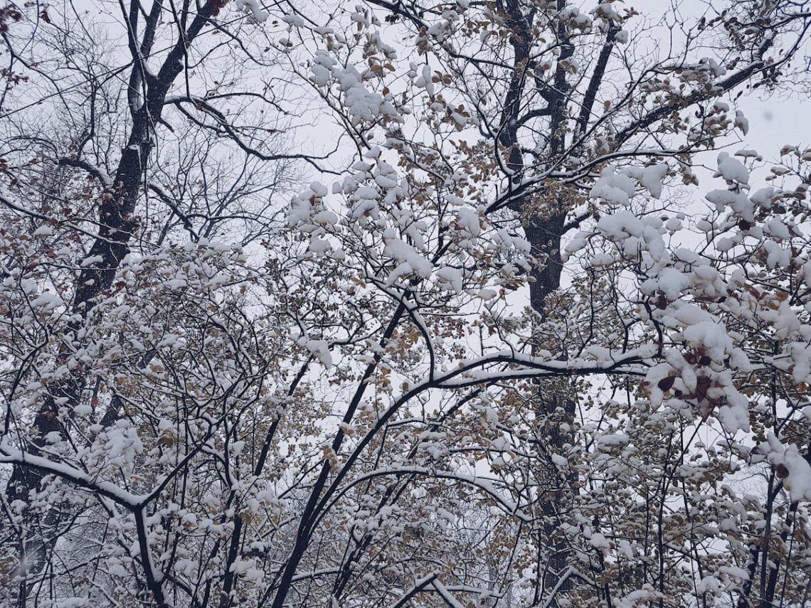 2017-12-09 02.53.34 1.jpg