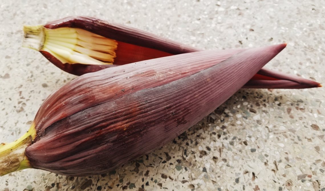 2019-01-04 12.40.43 1_1.jpg