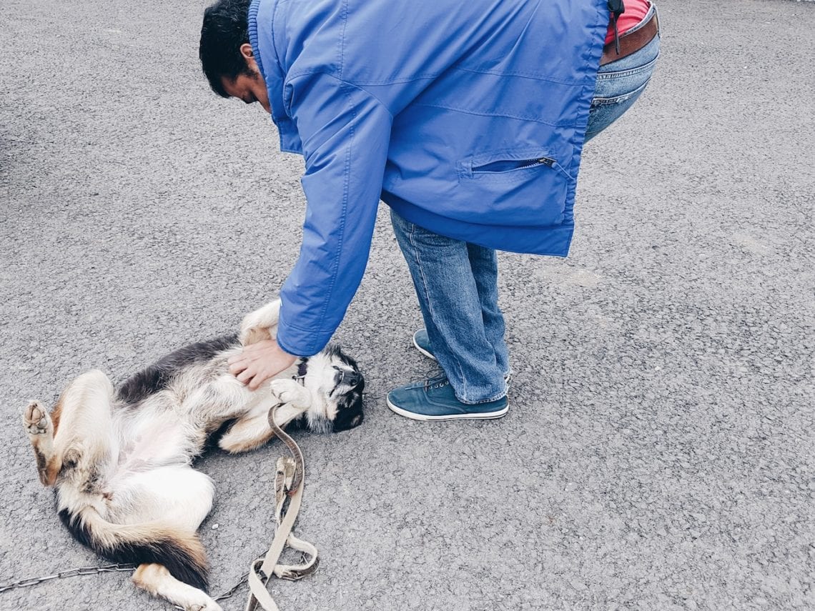 2017-04-26 10.35.44 2.jpg