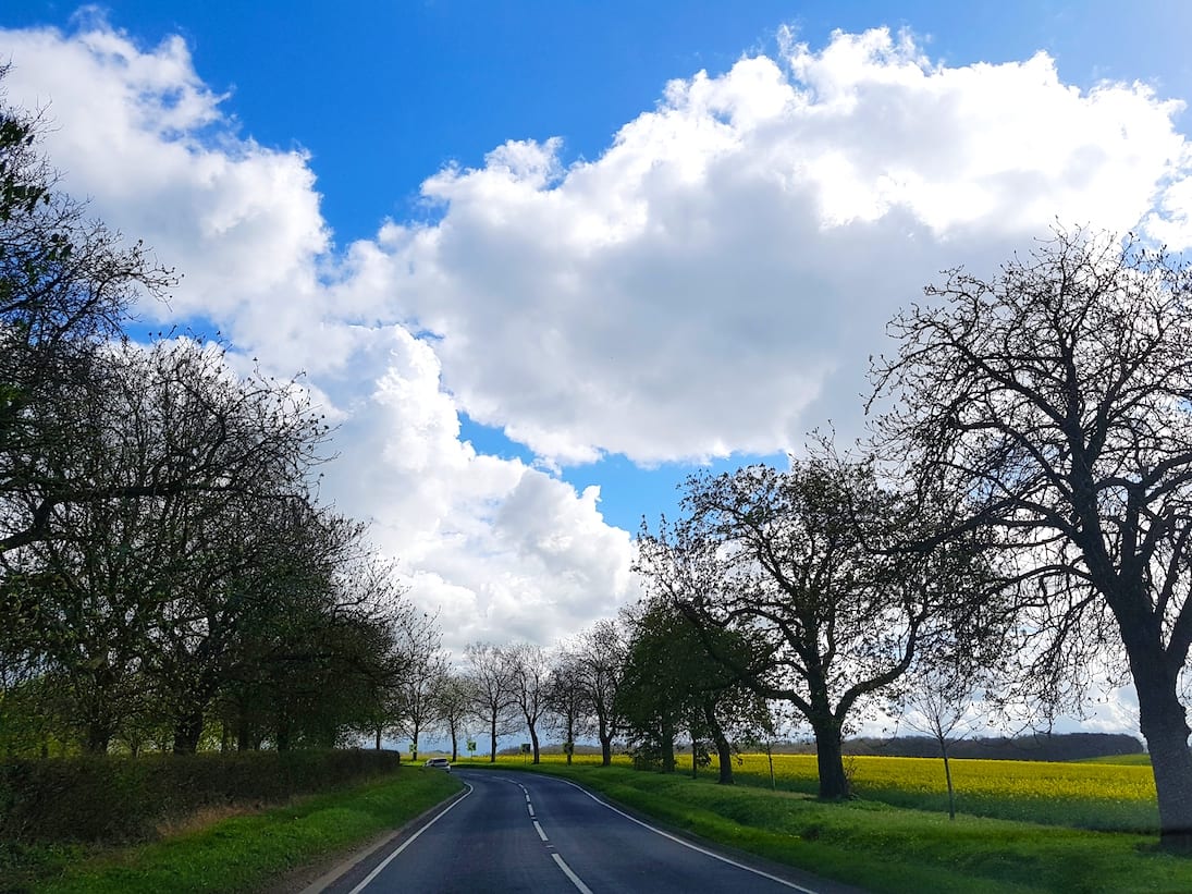 2017-04-01 08.04.57 1_1.jpg