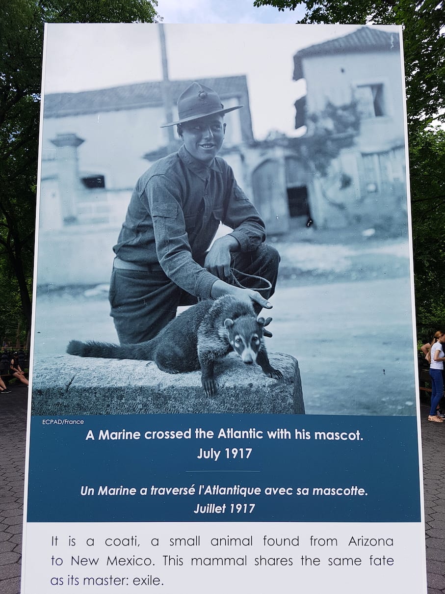 2017-07-02 04.14.34 1.jpg