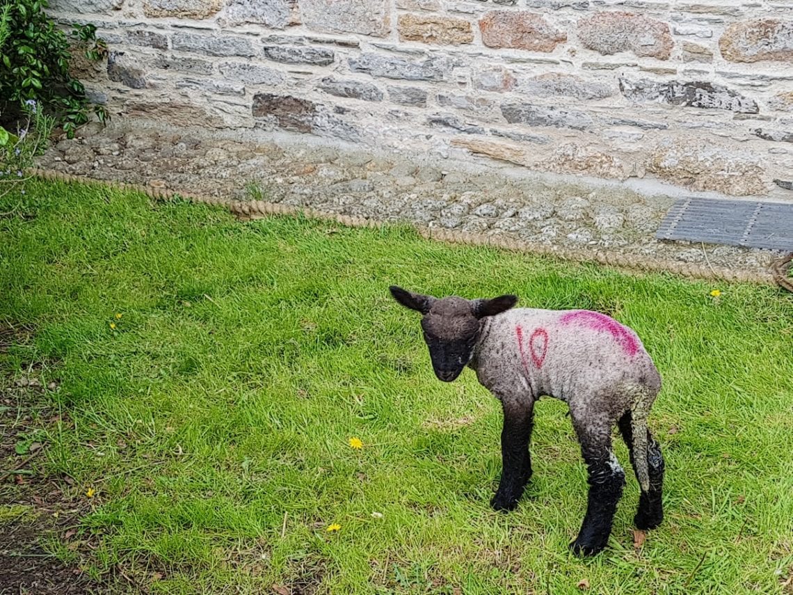 2017-04-18 08.57.02 1.jpg