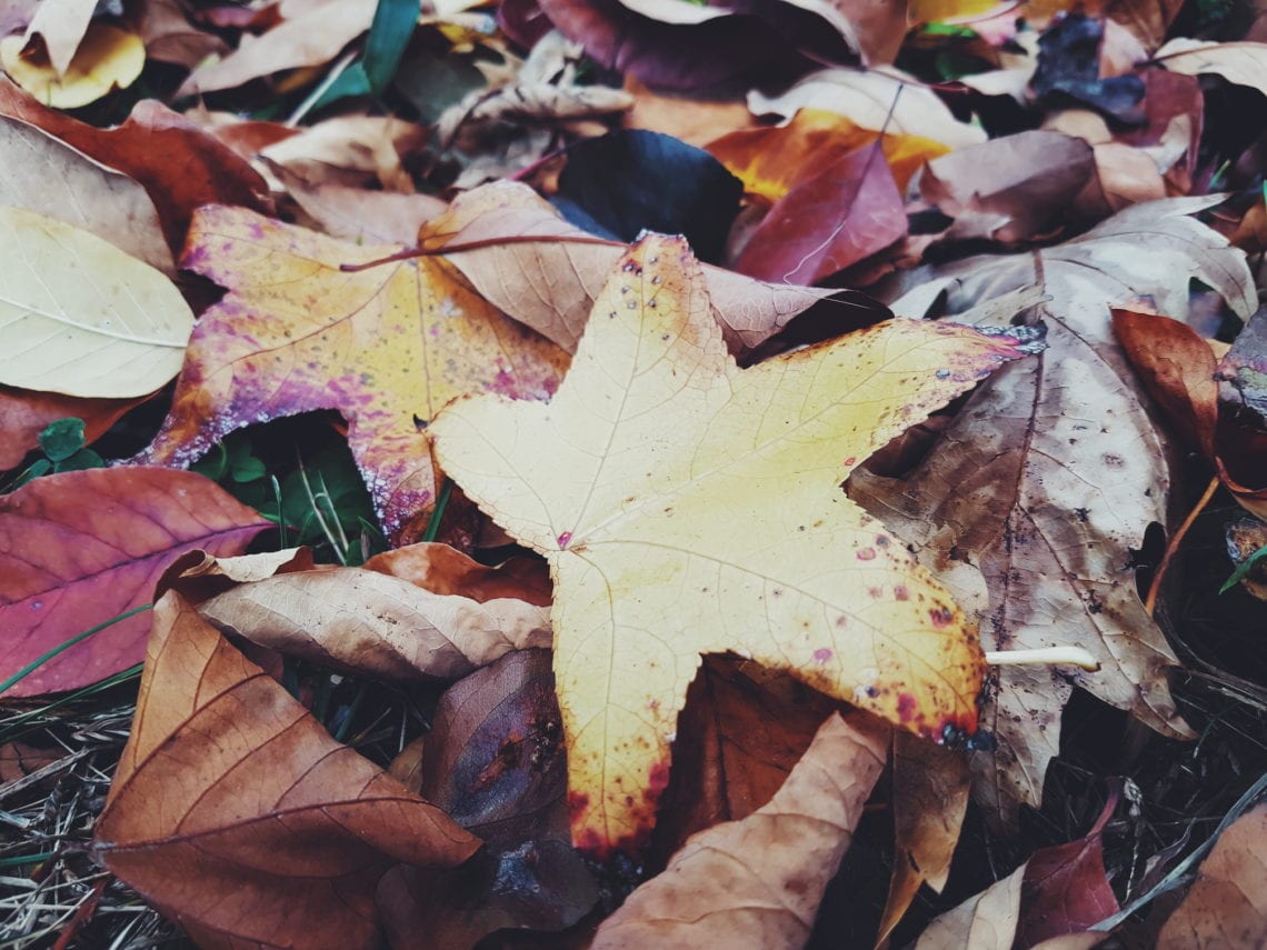 2017-10-25 06.20.30 1.jpg