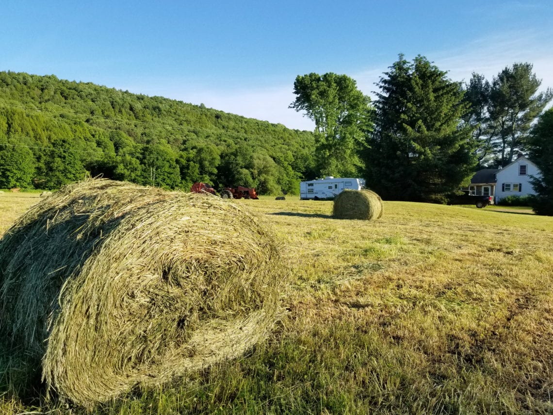 2018-06-17 11.35.22 1.jpg