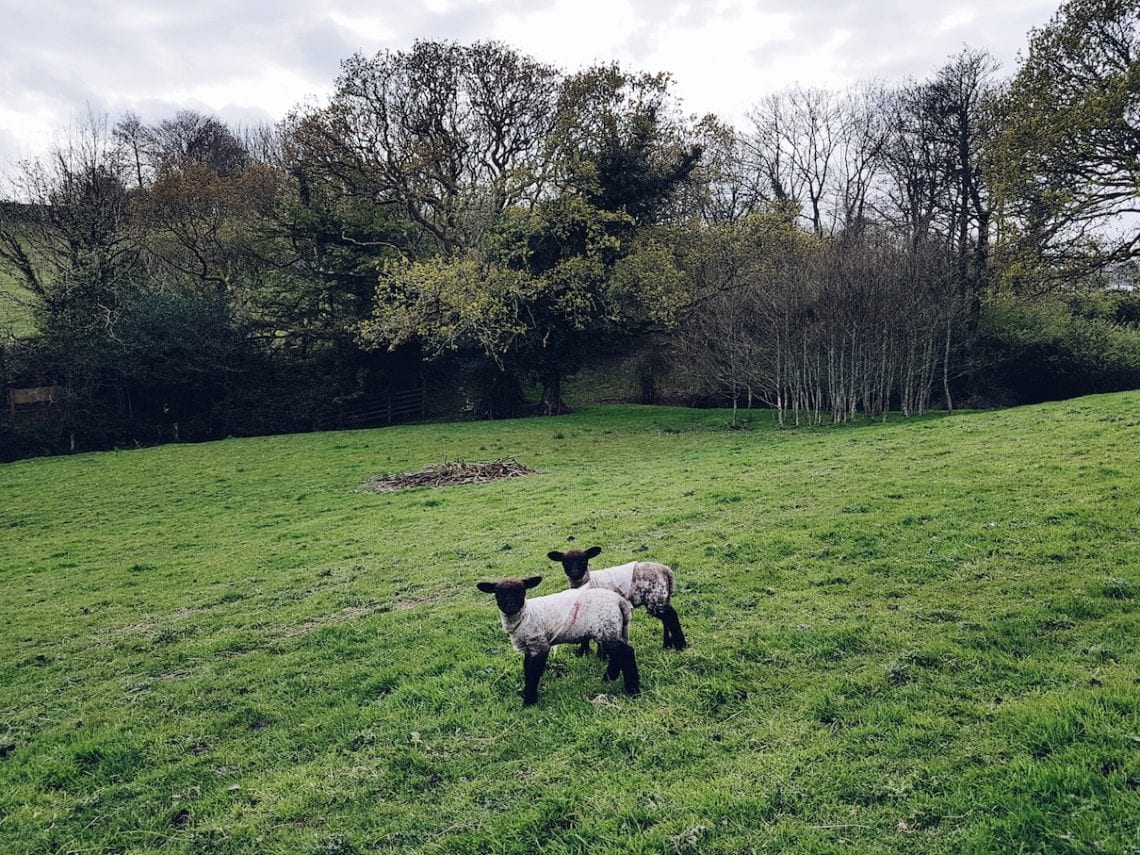 2017-04-16 09.48.59 1.jpg