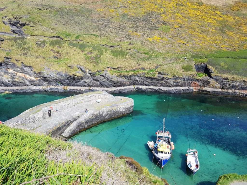 Hardy’s Boscastle