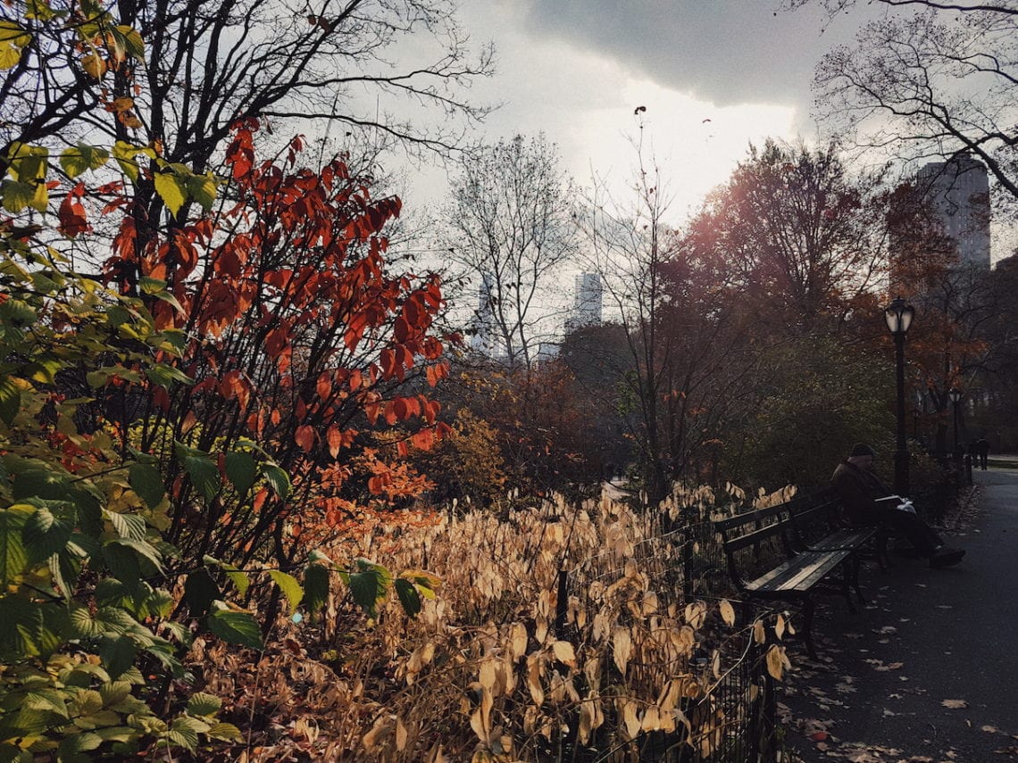 2017-12-04 07.32.22 1.jpg