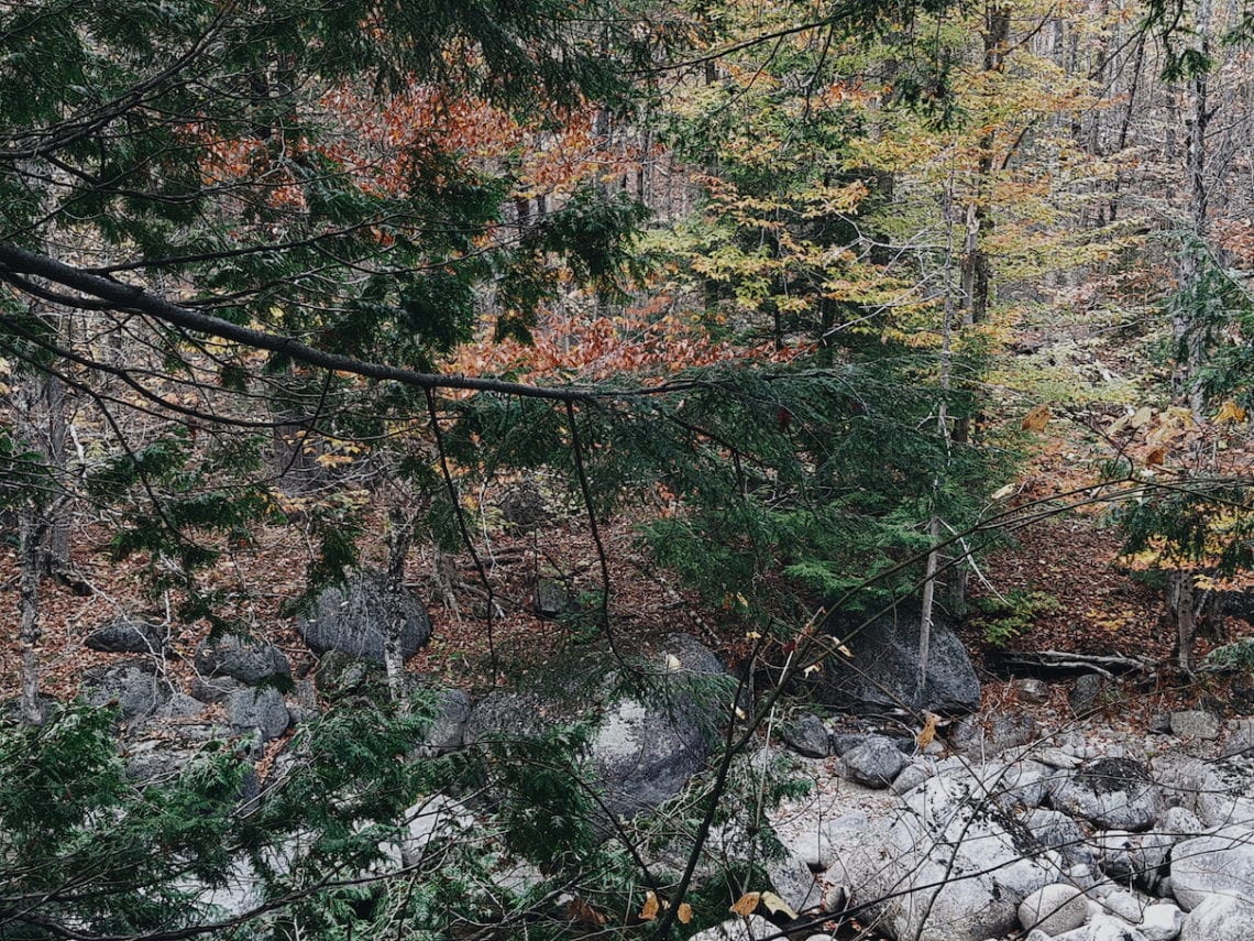 2017-10-20 09.09.15 1.jpg