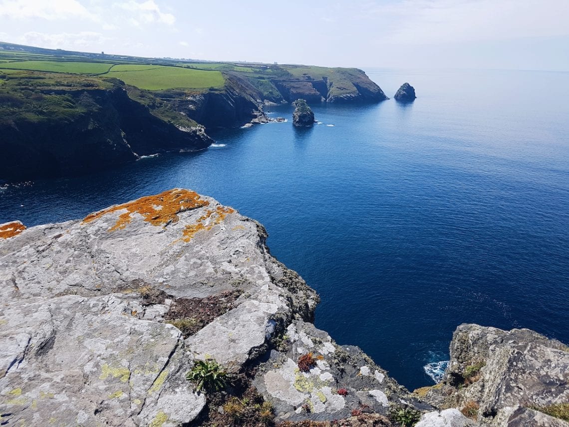 2017-05-06 07.56.25 1.jpg