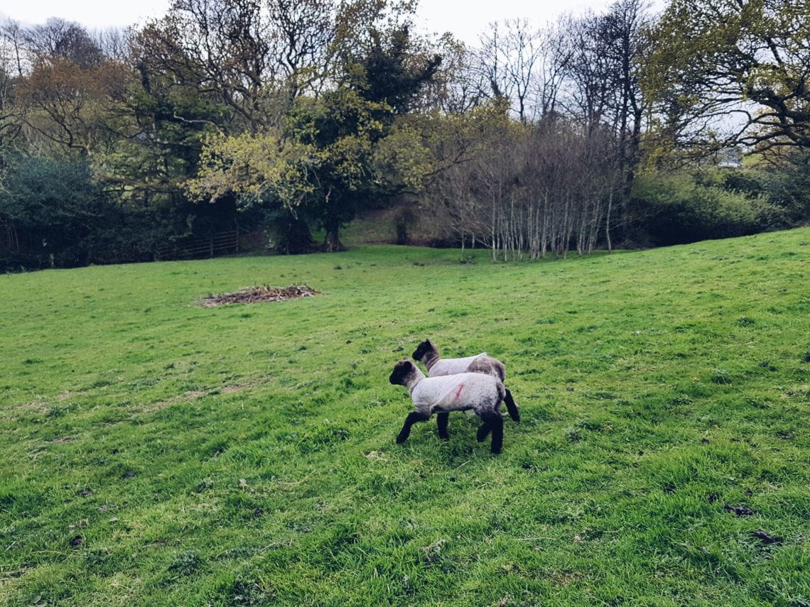 Processed with VSCO with a5 preset