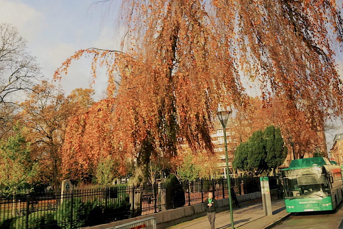 2017-12-12 03.46.55 1.jpg