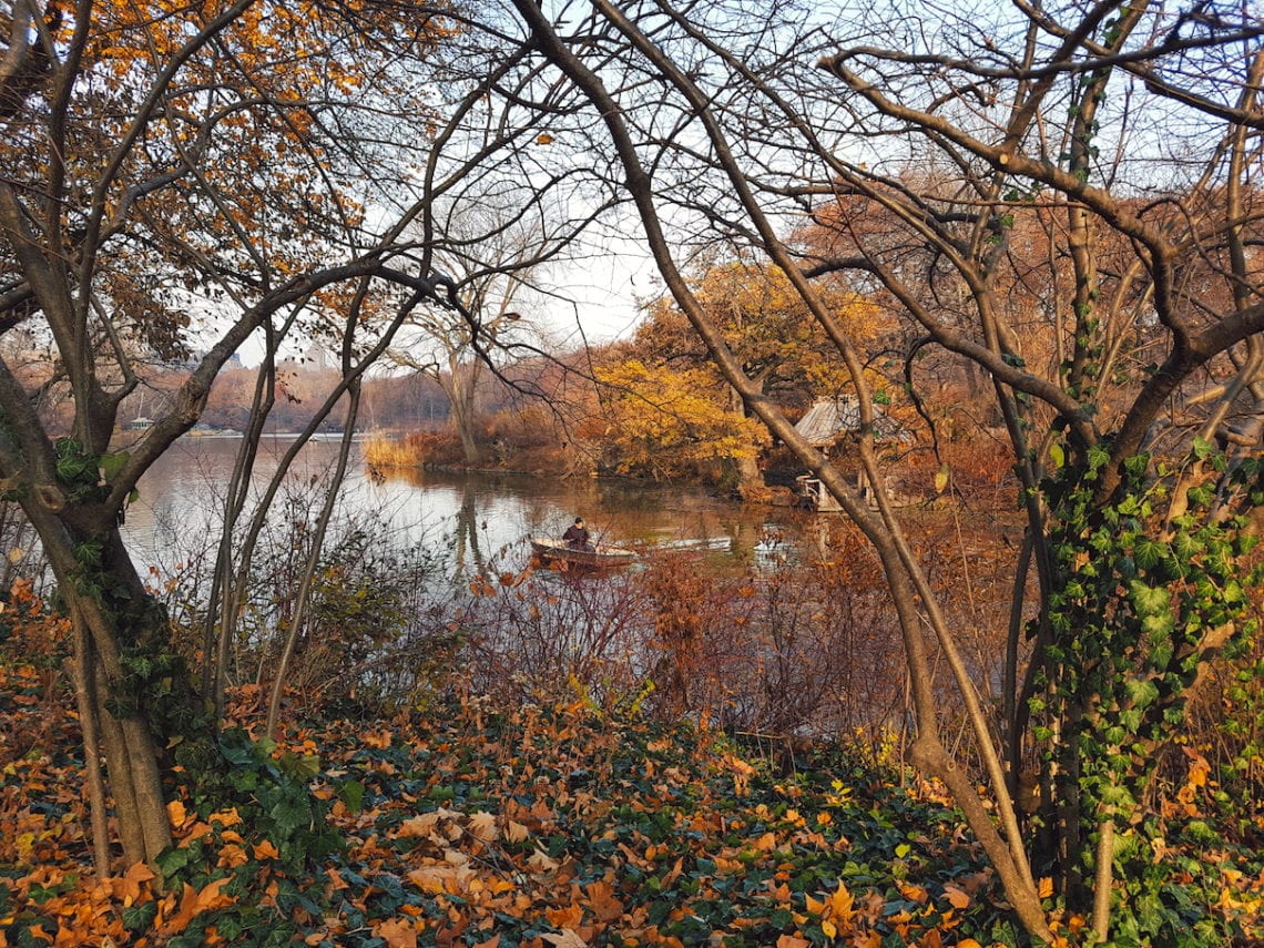 2017-12-04 07.32.36 1.jpg