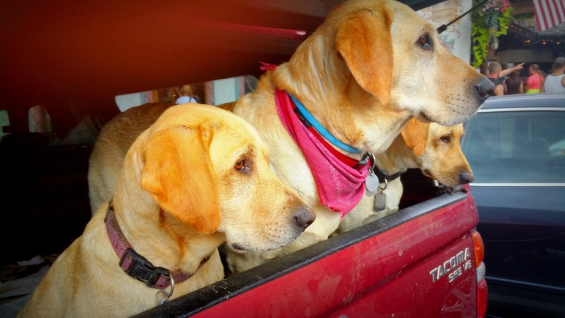 20150712_163628 - Copy.jpg