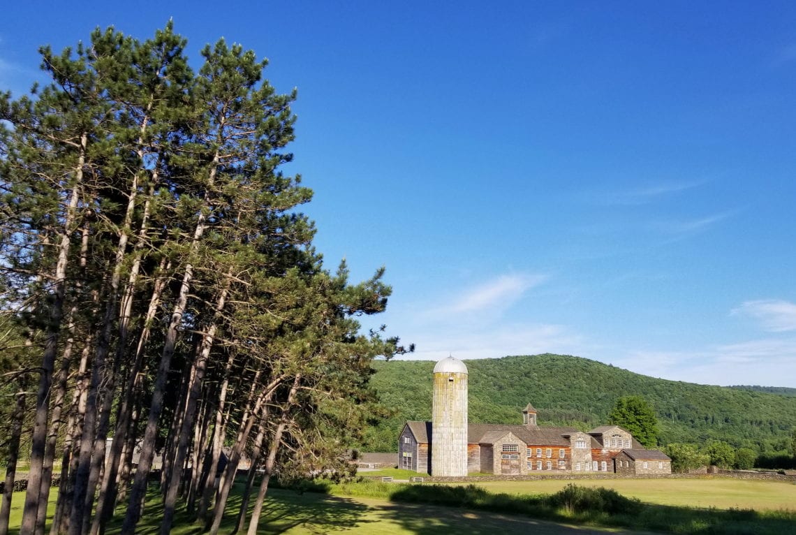 2018-06-17 11.37.38 1_1.jpg