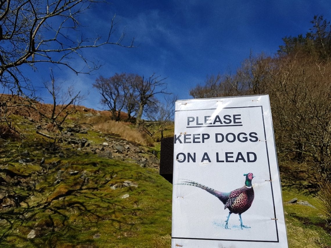 2017-03-26 07.26.34 1.jpg