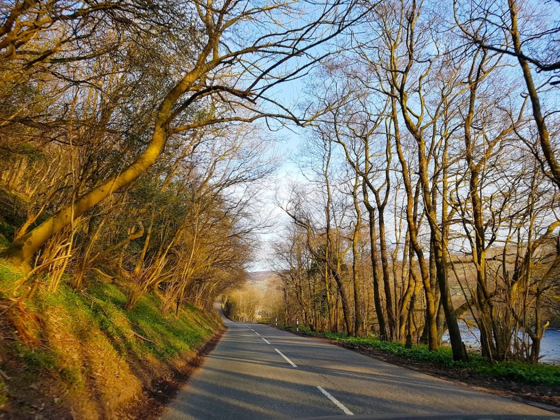 2017-03-26 12.25.36 1.jpg