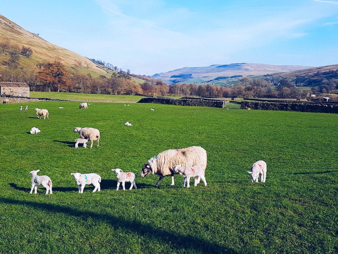 2017-03-26 11.02.58 1.jpg