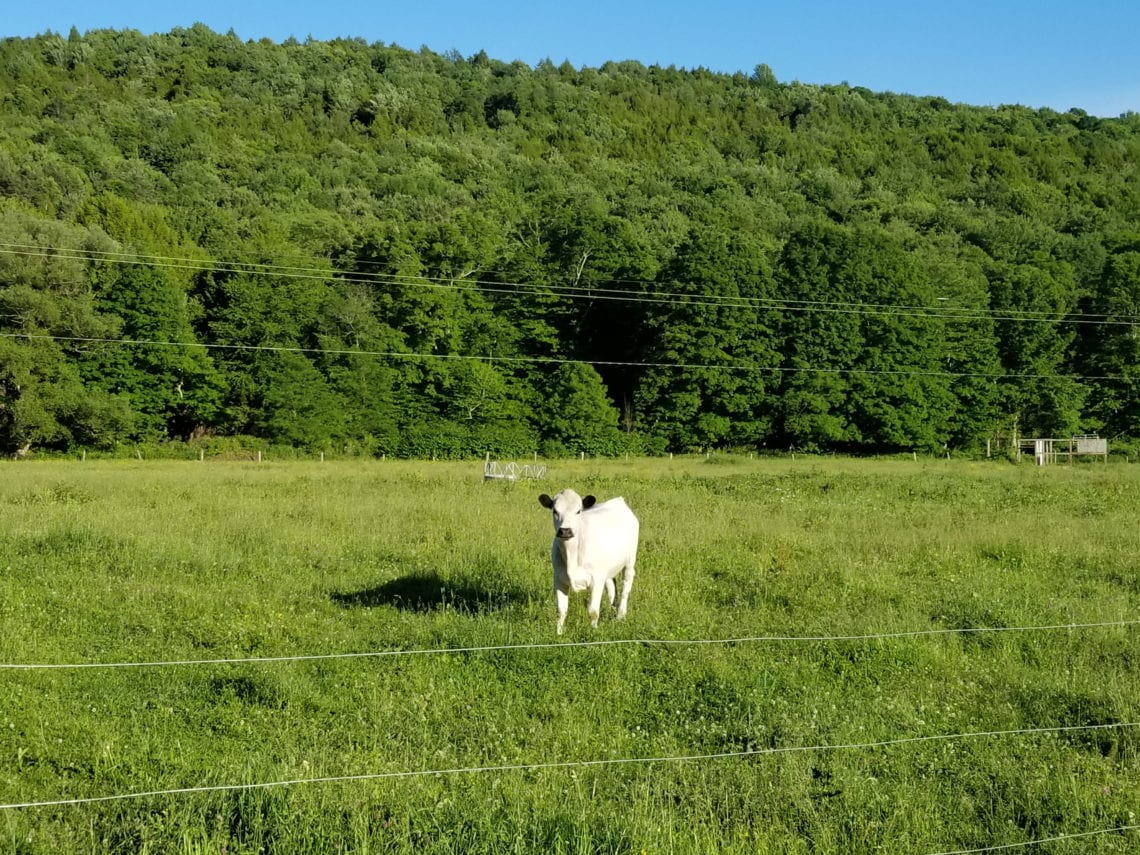 2018-06-17 11.35.12 1.jpg