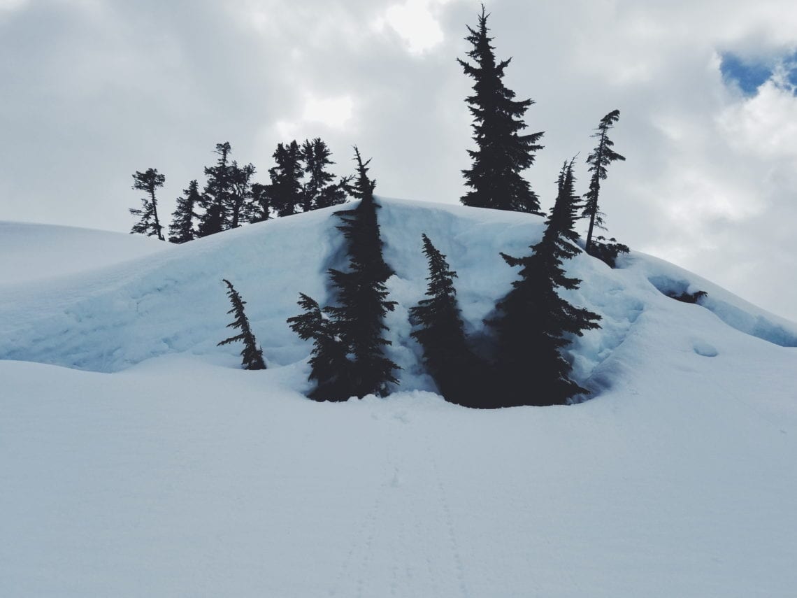 2018-04-22 06.31.21 1.jpg